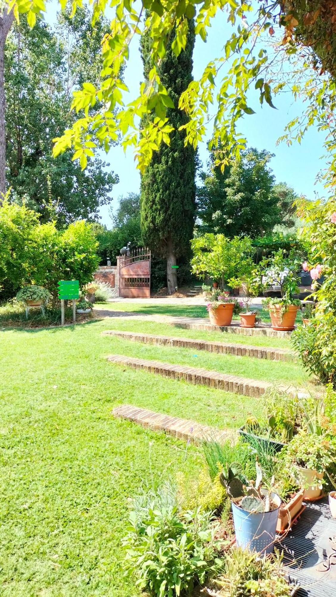 Ca' Dei Gelsi B & B Coriano Extérieur photo