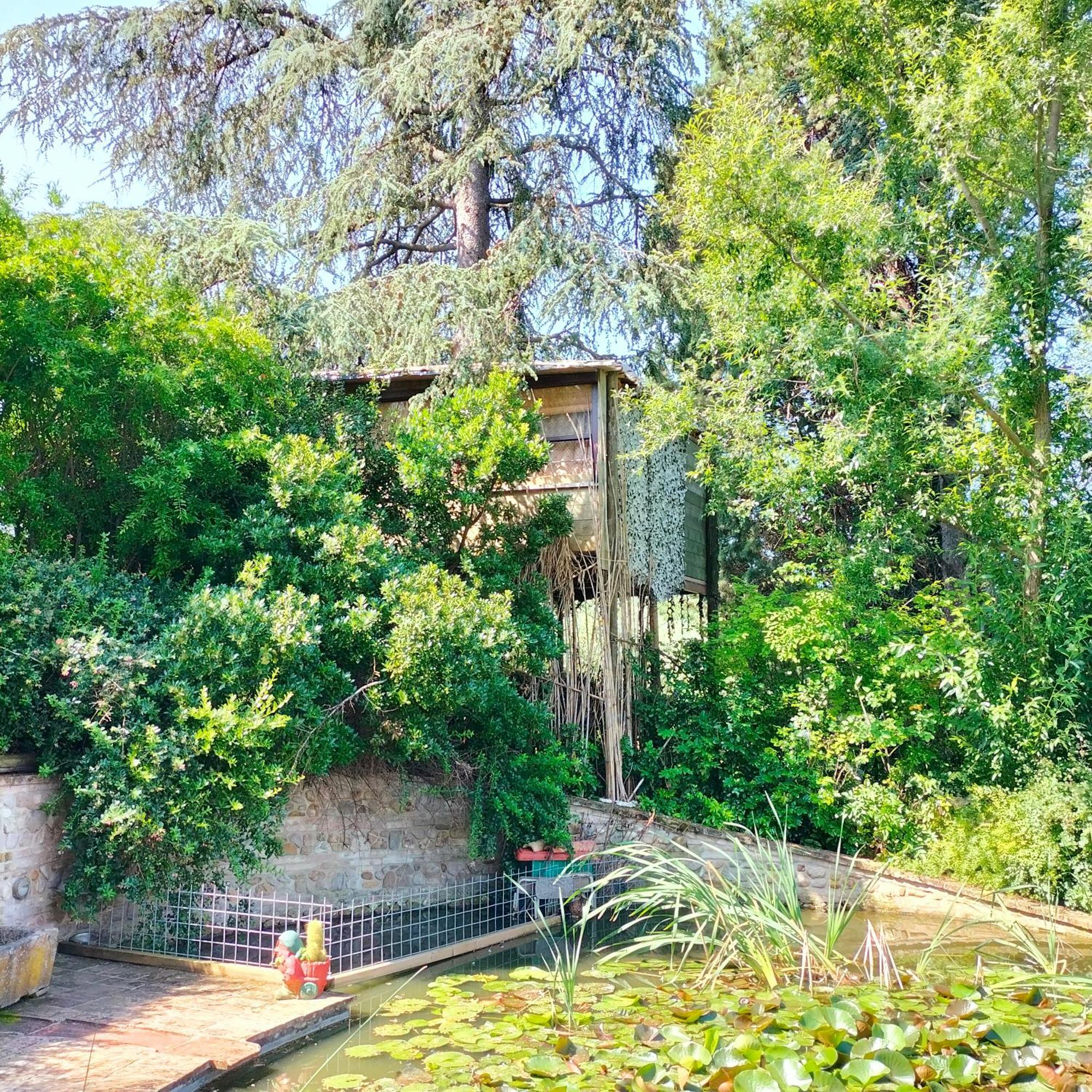 Ca' Dei Gelsi B & B Coriano Extérieur photo