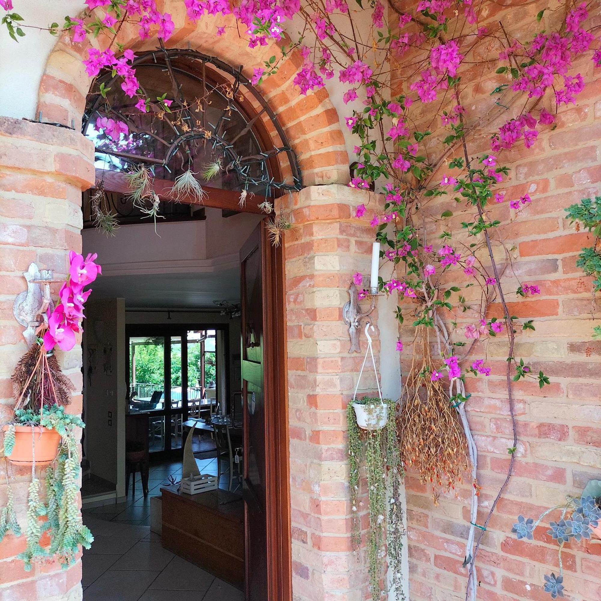 Ca' Dei Gelsi B & B Coriano Extérieur photo