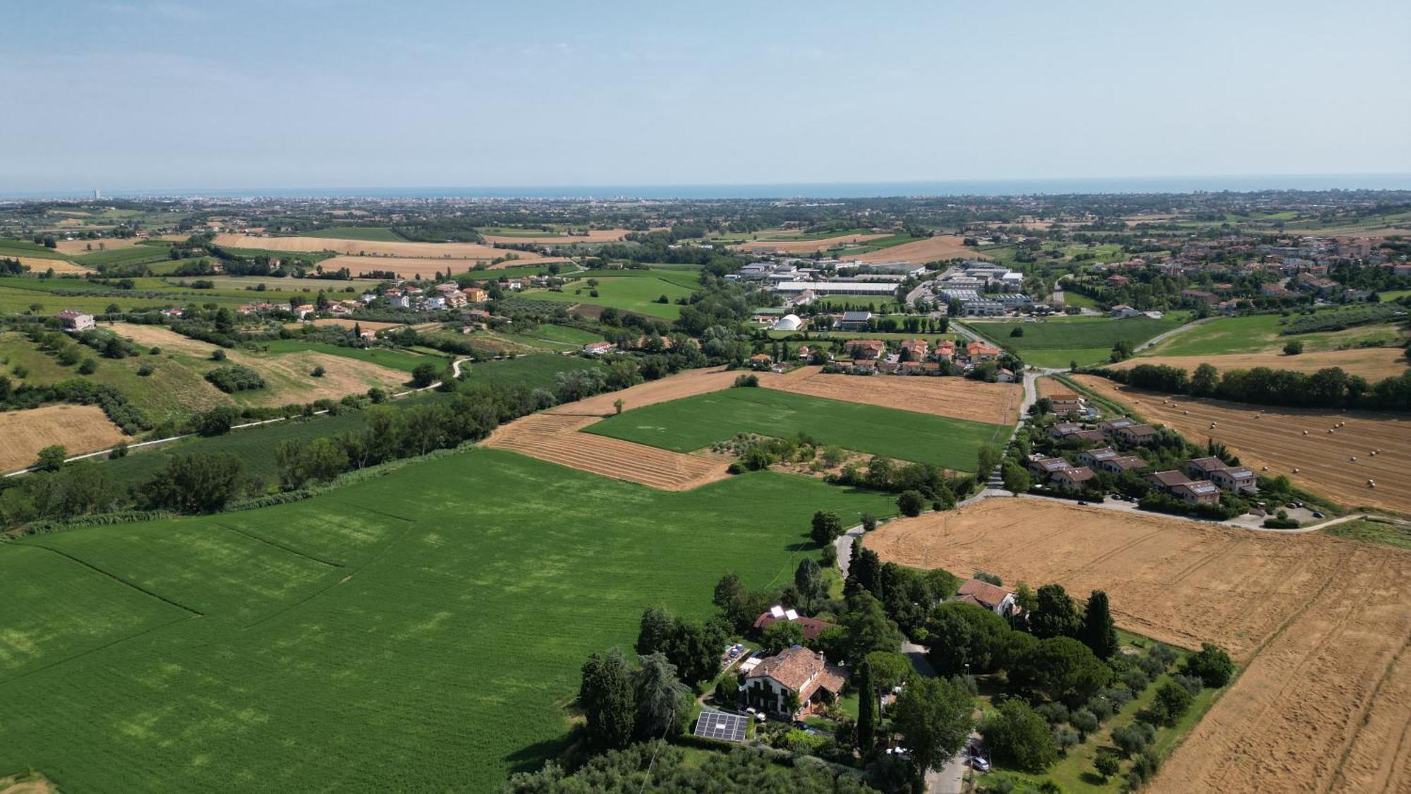 Ca' Dei Gelsi B & B Coriano Extérieur photo
